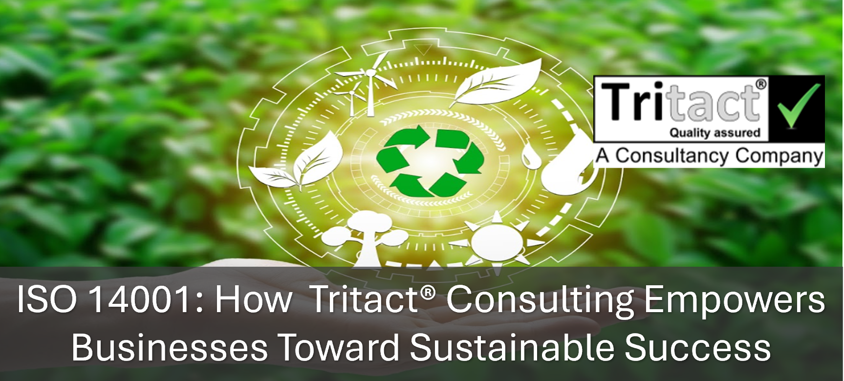 ISO 14001: How Tritact® Consulting Empowers Businesses Toward Sustainable Success